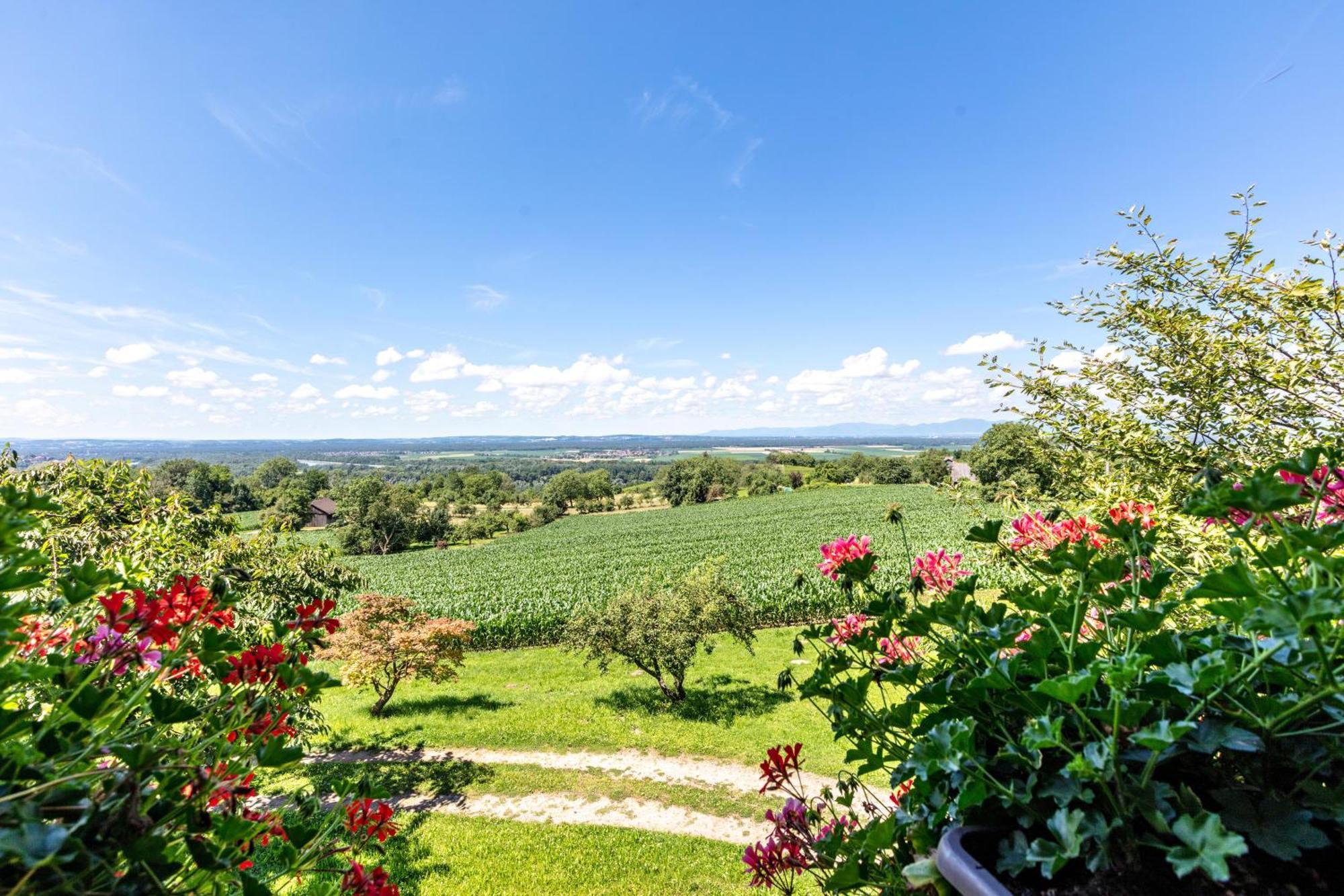 Appartamento Pappelhof Bad Bellingen Esterno foto
