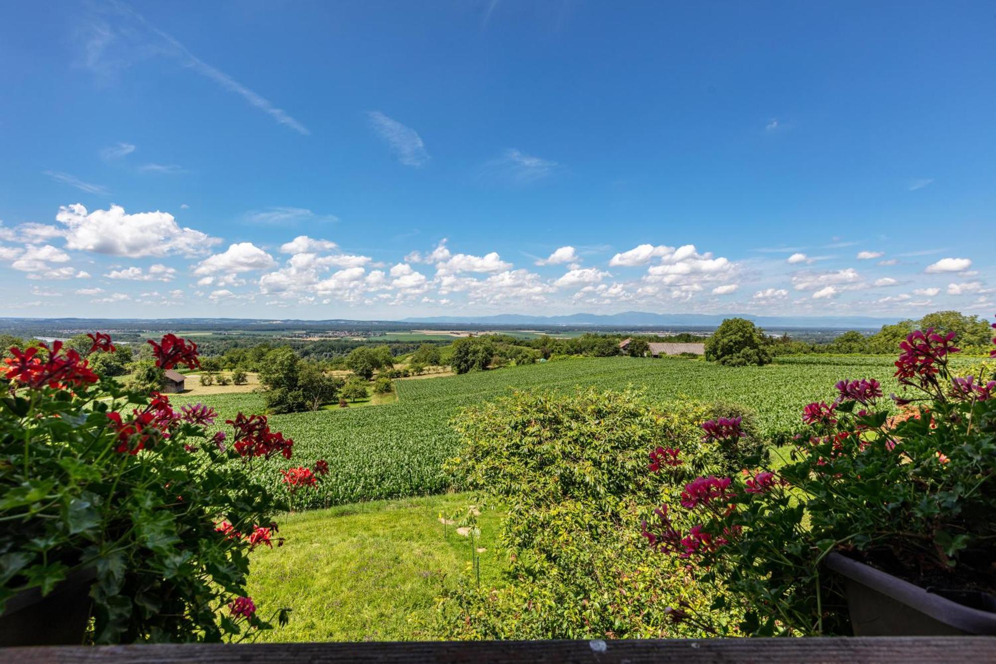Appartamento Pappelhof Bad Bellingen Esterno foto