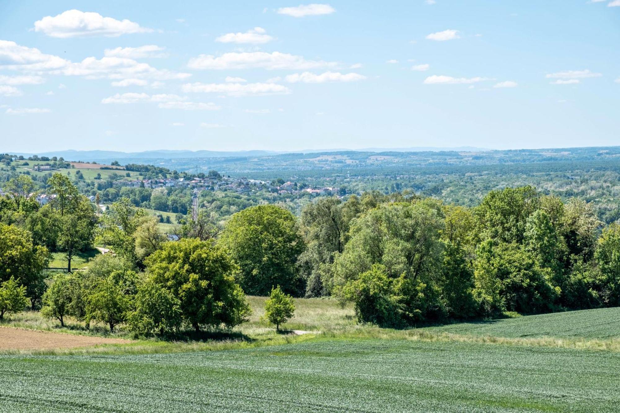 Appartamento Pappelhof Bad Bellingen Esterno foto